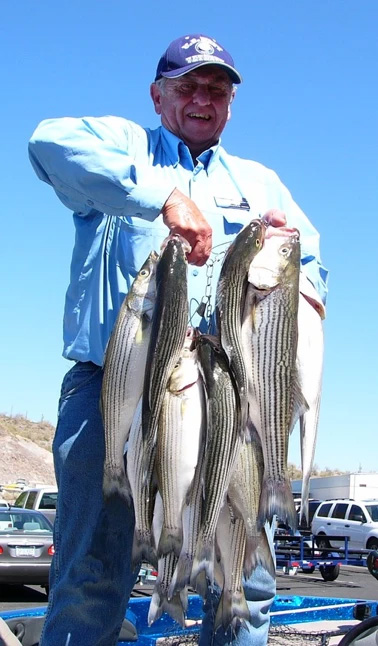 Arizona Great Adventure Fishing LLC - PROFESSIONAL ARIZONA FISHING GUIDES 
ON PLEASANT, BARTLETT, ROOSEVELT, SAGUARO, 
CANYON, APACHE, AND ALAMO LAKE